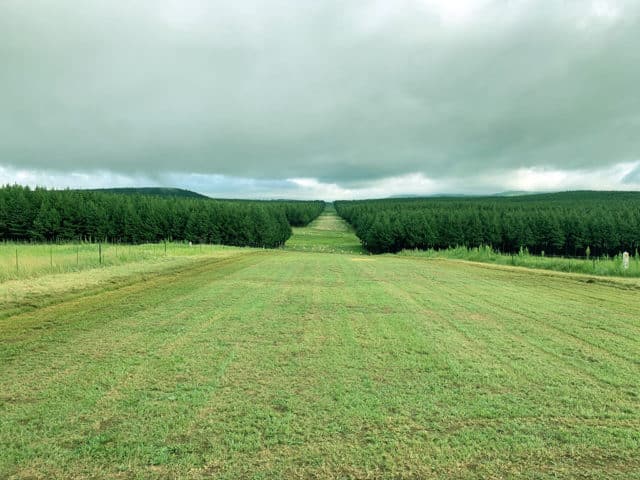 Far Away Place - Midlands Meander Airfield